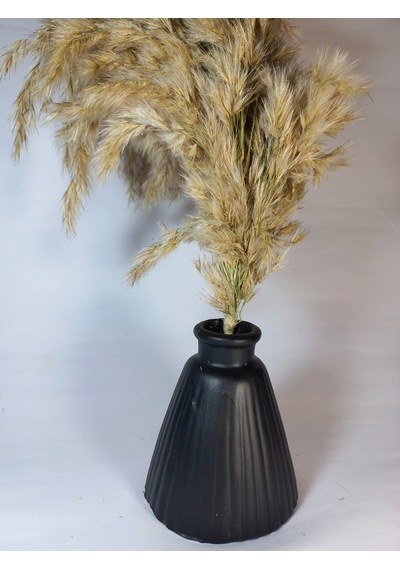Pampas Vazosu Siyah