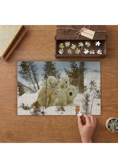 Beyaz Ayı Ve Yavruları Tasarımı 240 Parça Ahşap Puzzle Ahşap Kutuda Mpy50471