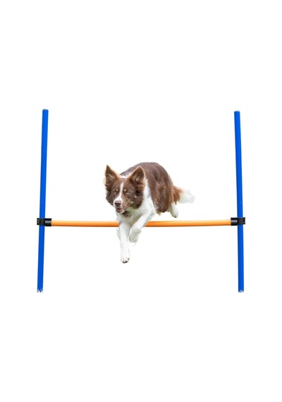 Trixie Köpek Agility Eğitim Manisi , 123 115 Ø3 Cm