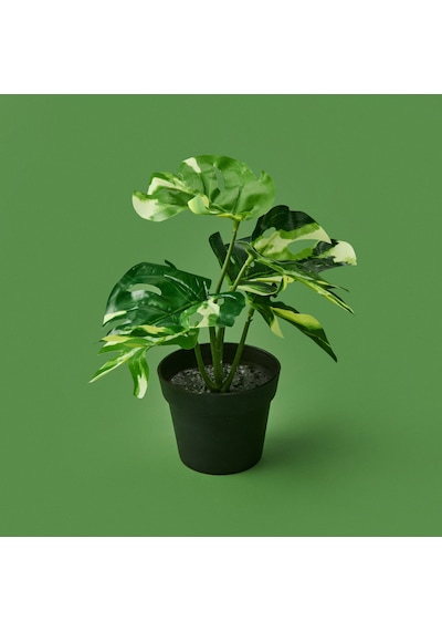 Botta Çiçek - Asorti - 24 Cm Çok Renkli