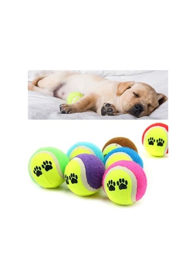 Büro Ev Evcil Hayvanı İçin 3 Tenis Toplu Renkli Desen Kedi Köpek Oyuncağı