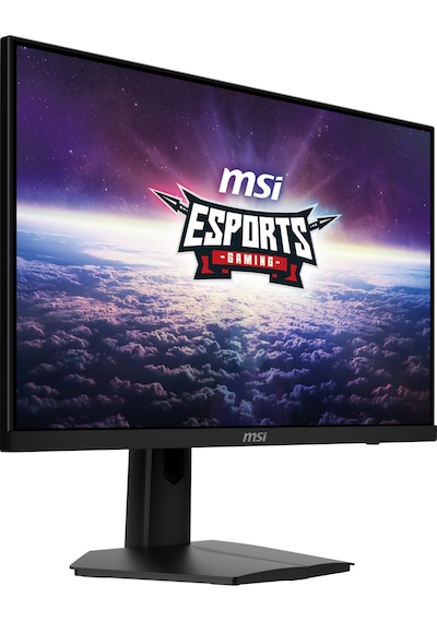 MSI G244F E2 23.8" 1 MS 180 Hz Full HD Adaptive-Sync Rapid IPS LED Monitör (Outlet)