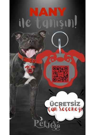 Petjoo 17.Nany Gri-Kırmızı Qr'lı Köpek Künyesi