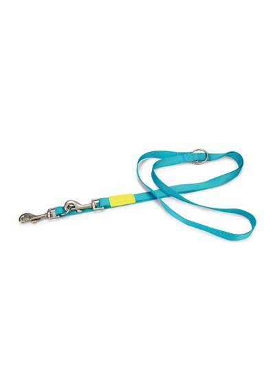 Hnrlıshp Beeztees Köpek Gezdirme Kayışı, Turkuaz, 200cm, 20mm Çok Renkli