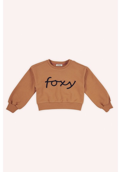 Kız Çocuk Nakış Detaylı Kiremit Sweatshirt 5981644