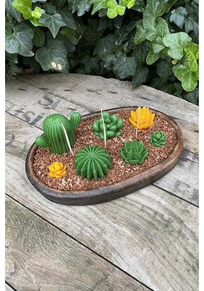 Rufus Concept Saguaro Kaktüs Mum Kalıbı Silikon Çok Renkli