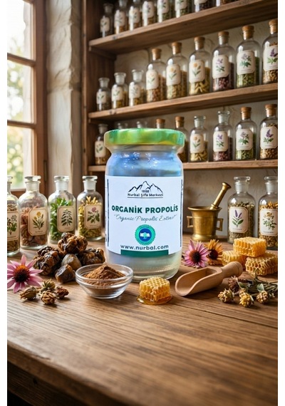 Nurbal Organik Propolis Toz Ekstrakt 50 G