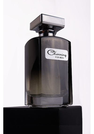 Rosemary Paris Charming Erkek Parfüm EDP 100 ML