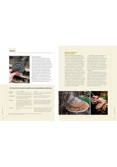 Christopher Hobbs's Medicinal Mushrooms: The Essential Guide: Boost Immunity, Improve Memory, Fight Cancer, Stop Infection, And Expand Your Consciousness