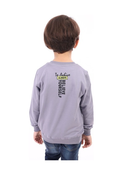 Toontoy Kids Toontoy Erkek Çocuk Baskılı Sweatshirt Koyu Gri