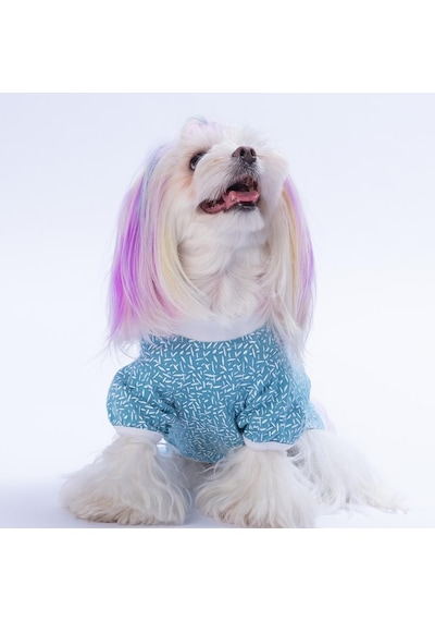 Blue-mavi Basic Kedi Köpek Sweat- Kedi Köpek Kıyafeti