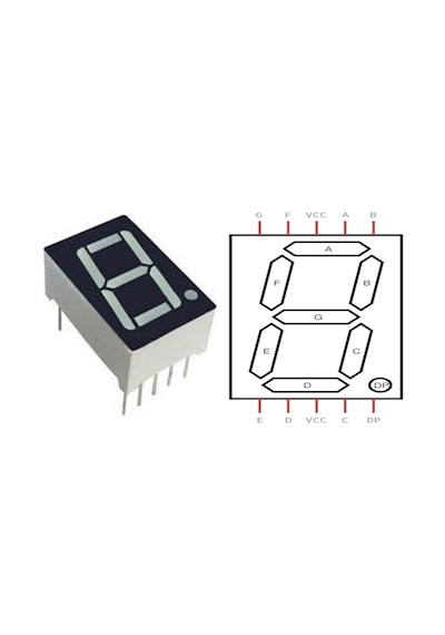 7 Segment Display N11.1304