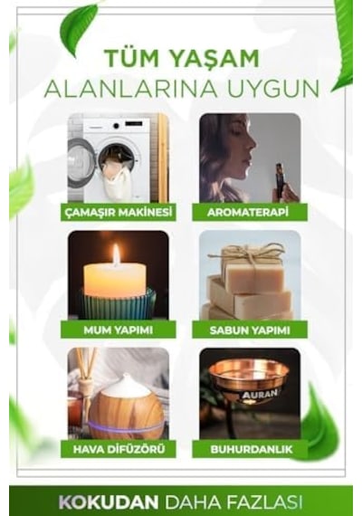 Auran Çay Ağacı Esansiyel Uçucu Koku Yağı Ortam Kokusu Doğal Yağ Sihirli Küre Hobi Esansı 10ml Abundance Prosperity