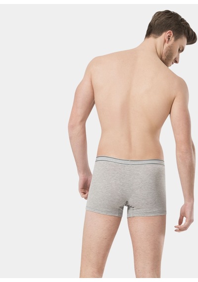 Türen Erkek Likralı Boxer 165/Gri 001