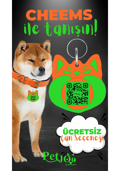 Petjoo 18.Cheems Yeşil-Turuncu Qr'lı Köpek Künyesi