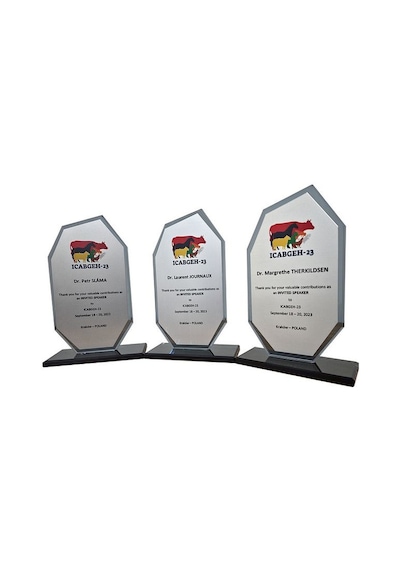 Özcan Tasarım Öğretmene Plaket - Kişiye Özel Plaket - Cam Plaket Altın