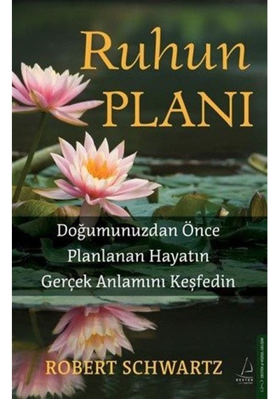 Ruhun Planı / Robert Schwartz