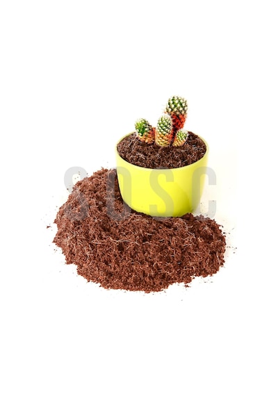 Hindistan Cevizi Torfu%100 Doğal Torf - Cocopeat Hindistan Cevizi Lifi - Doğal Bitki Toprağı 3 Lt 0