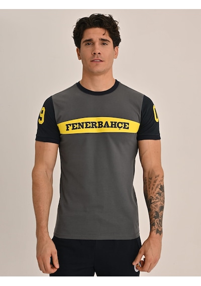 Fenerbahçe Erkek Kolej 1907 Fb Tshırt Gri