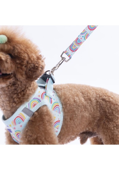 Joyful Colors Göğüs Tasması Ve Sevk Kayışı Tasma Seti Gökkuşağı Desenli Kedi Köpek Göğüs Tasması Seti Mavi