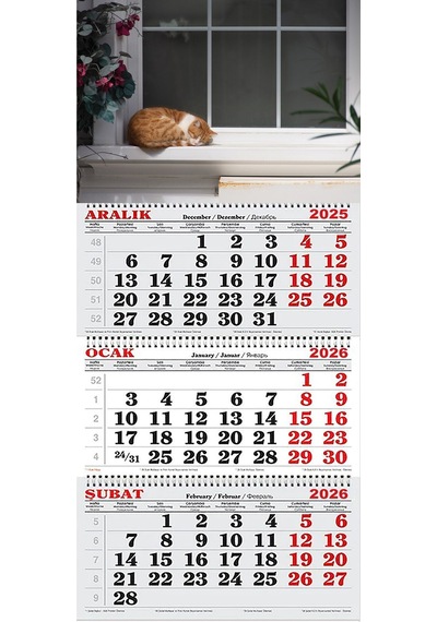 2026 Yılı Gemici Takvimi-camın Önündeki Kedi