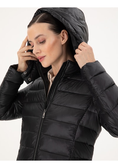 Pierre Cardin Kadın Siyah Mont 50297332-vr046