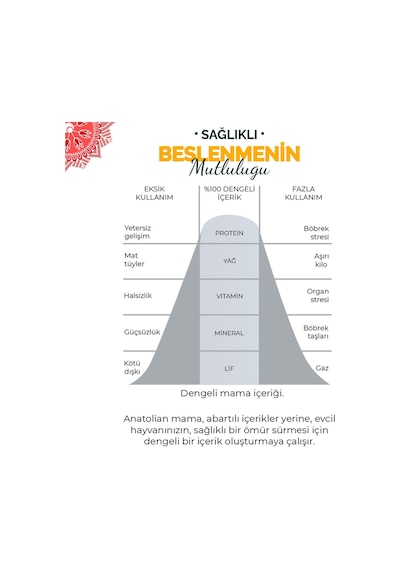 Anatolian Premium Somonlu Orta ve Büyük Irk Yetişkin Köpek Maması 18 kg