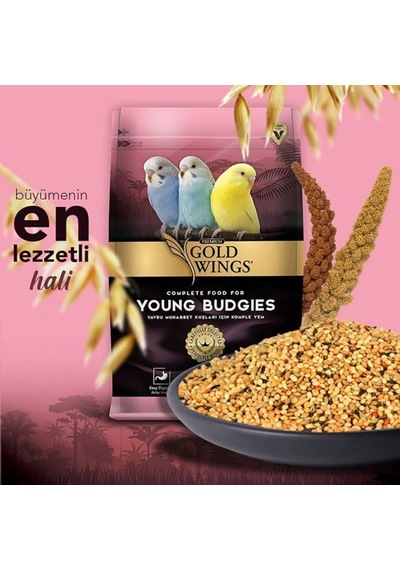 Gold Wings Premium Yavru Muhabbet Yemi 1 Kg
