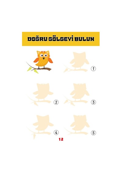 Okul Öncesi Akıl Ve Zeka Oyunları Yaz-sil Kitabı