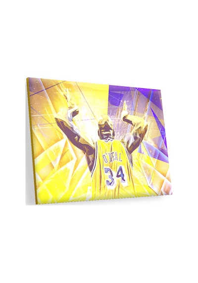 Cakasepetim Shaquille O Neal Ahşap Mdf Tablo