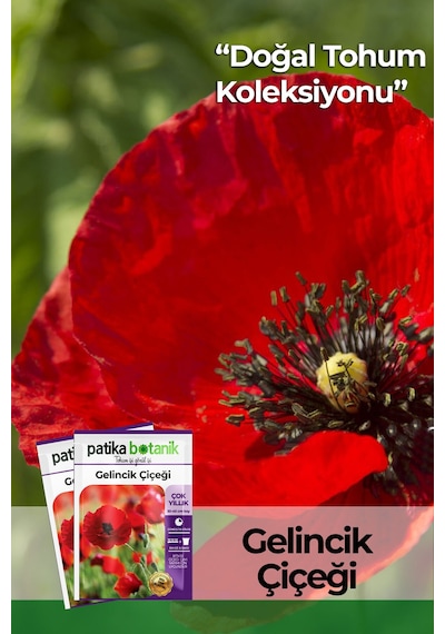 50 Adet Gelincik Çiçek Tohumu Papaver Rhoeas