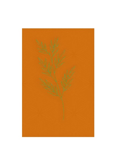 Kartela Halı Evo Halı Jüt Taban Dokuma Halı Turuncu - 100 X 150 Cm