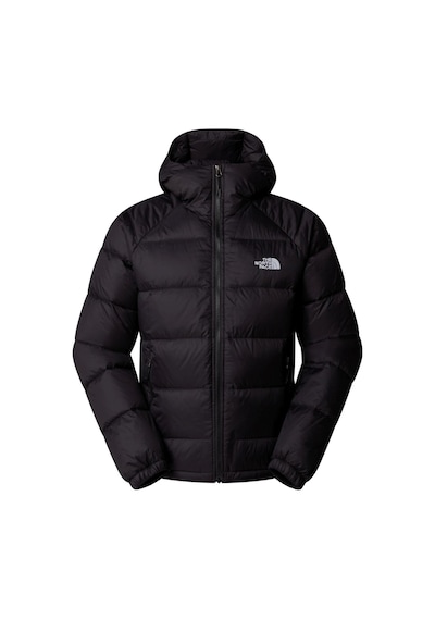 The North Face Erkek Hydrenalıtekaztüyü Hoodıe Ceketnf0a5gıejk31 Siyah