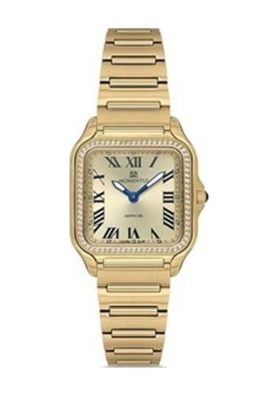 Momentus Ss348g-08sg Diğer