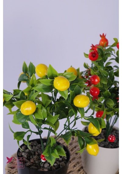 Yapay Çiçek Sitesi Plastik Saksıda Yapay Mini Limon & Nar Tanzimi 2 Li Set 33 Cm Çok Renkli
