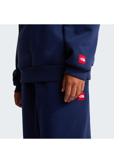 The North Face M Tnf Red Box Half Zip Erkek Ceket Nf0a8fha8k21 Lacivert
