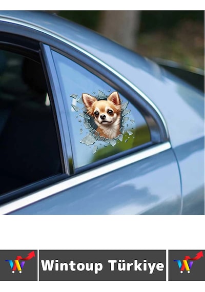 Özel Tasarım Araç Dış Modifiye Eğlenceli Yaratıcı Şık 3d Evcil Hayvan Kedi Köpek Sticker 10 X 10 Cm