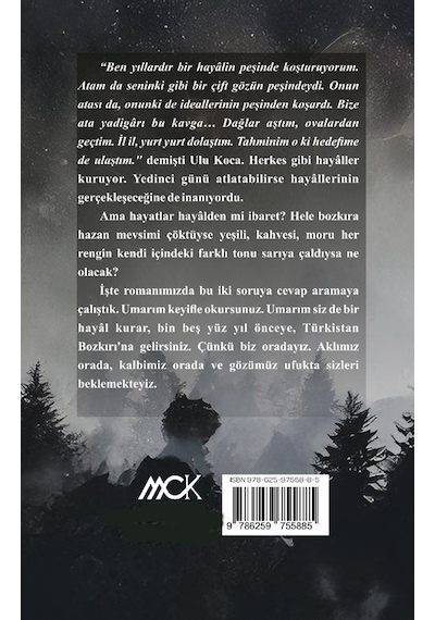Sungur / Yarım Kalan Aşkların Hikayesi / Hayrettin Gürer