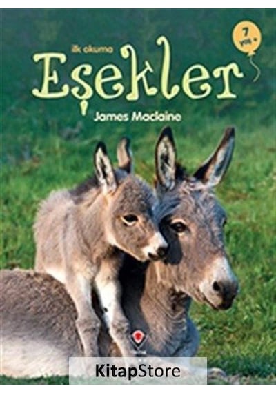 İlk Okuma - Eşekler / James Maclaine