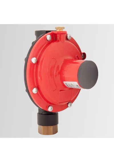 30 Kg/H Bp-2303/A R Regülatör Novacomet