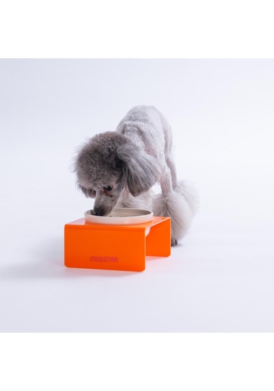Turuncu Tekli Seramik-pleksi Mama Ve Su Kabı-kedi Köpek Mama Su Kabı