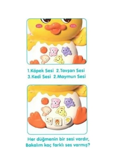 855-144a - Ördek Org Işıklı Sesli