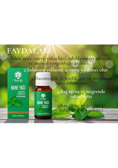 Panlife Nane Yağı 10 ML