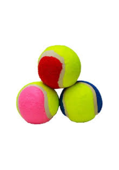 Petzoom Köpek Oyun Topu Tenis Topu