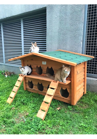 Pati Emlak Ahşap Kedi Evleri 8 Yuvalı Pati Emlak Kedi Kulübesi