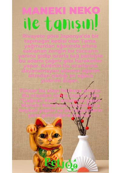 Petjoo 4.Maneki Neko Yeşil-Pembe Qr'lı Kedi Künyesi