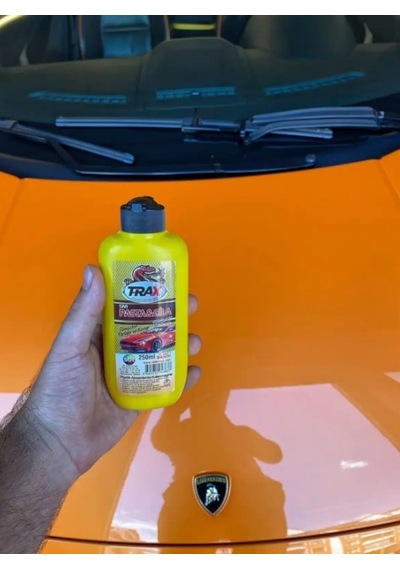 Araç Oto Kaporta Boya Pasta Cila Sıvı Cila 250ml