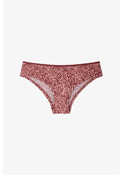 Penti Renkli Peach Leo 3'lü Pamuklu Hipster Külot