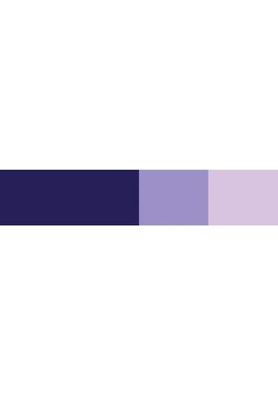 Schmincke Horadam Gouache Artist Guaj Boya 15 Ml Seri 1 460 Violet Çok Renkli