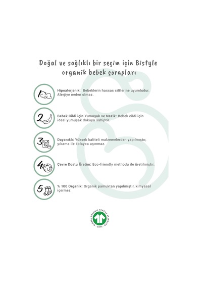 Melonika 5'li Penye Soket Kutulu Basic Çorap 10131 Gri Çok Renkli
